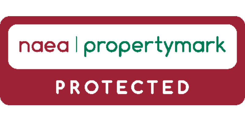 National Association of Estate Agents Website Logo