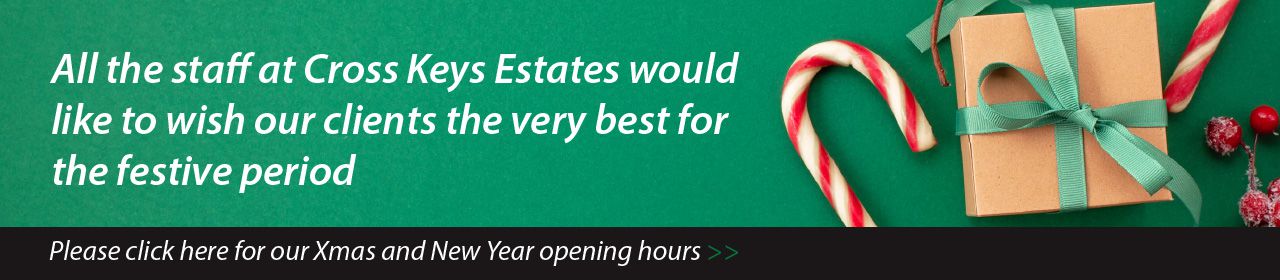 Christmas and New Year Opening Hours Banner