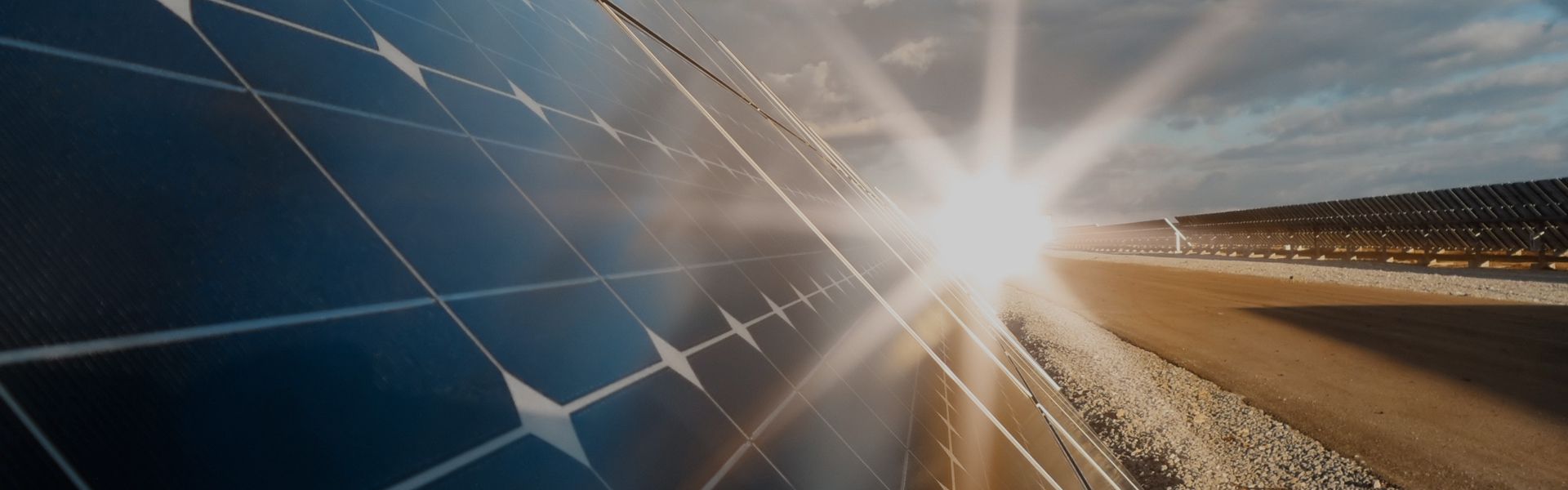 Cross Keys Estates - Residential Sales and Lettings - The future of our business is bright – and it’s powered by the sun